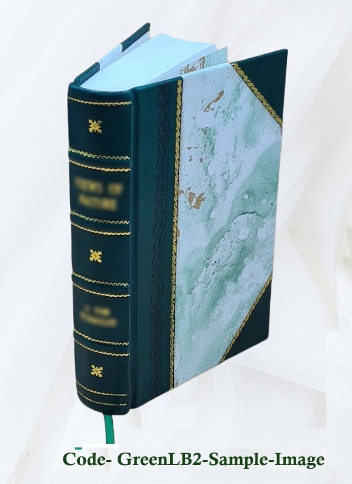 Ardha-Magadhi Reader 1923 By Banarsi Das Jain [Leather Bound]
