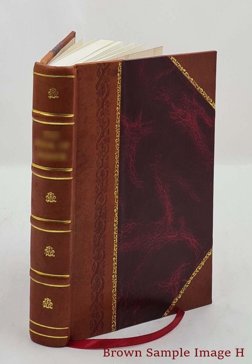 Regula Placitandi: A Collection Of Special Rules For Pleading Fr [Leather Bound]