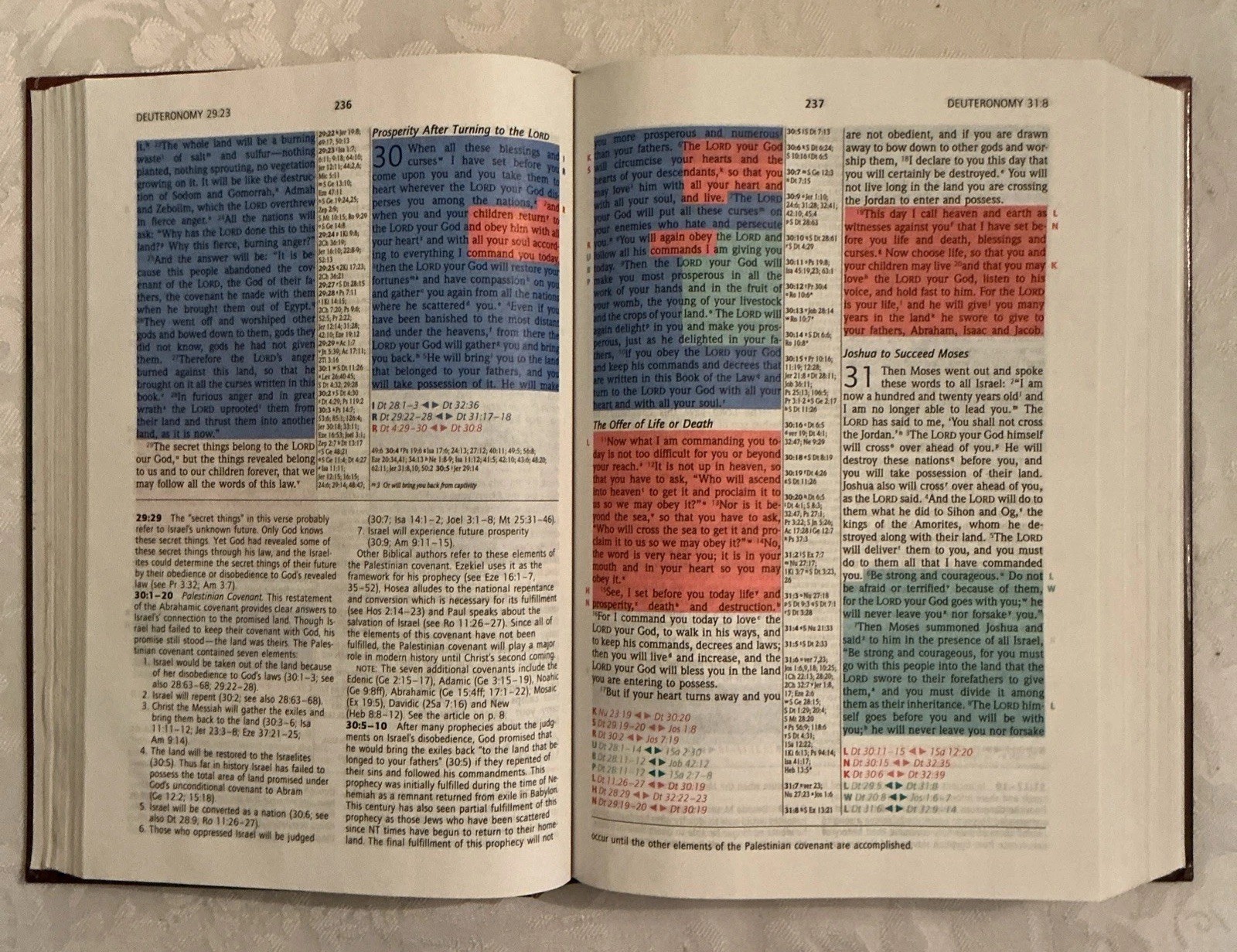 NIV Prophecy Marked Reference Study Bible 1998 Hardcover