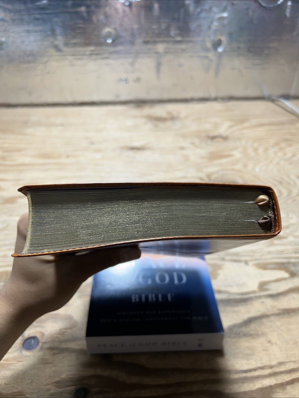 NKJV, Peace of God Bible (4893BRN – Brown Leathersoft)