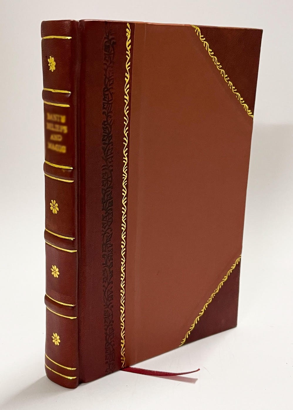 Those Good Normans by Marie GypJussen [Leather Bound]