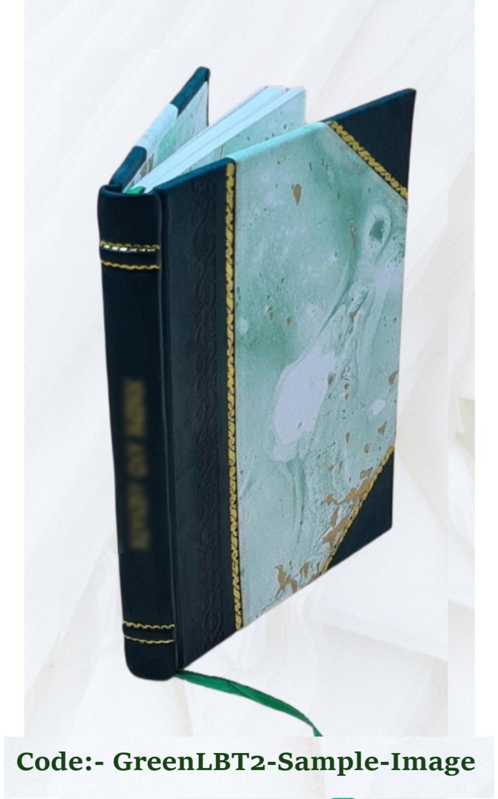 Bacterial Food Poisoning A Concise Exposition Of The Etiology, B [Leather Bound]