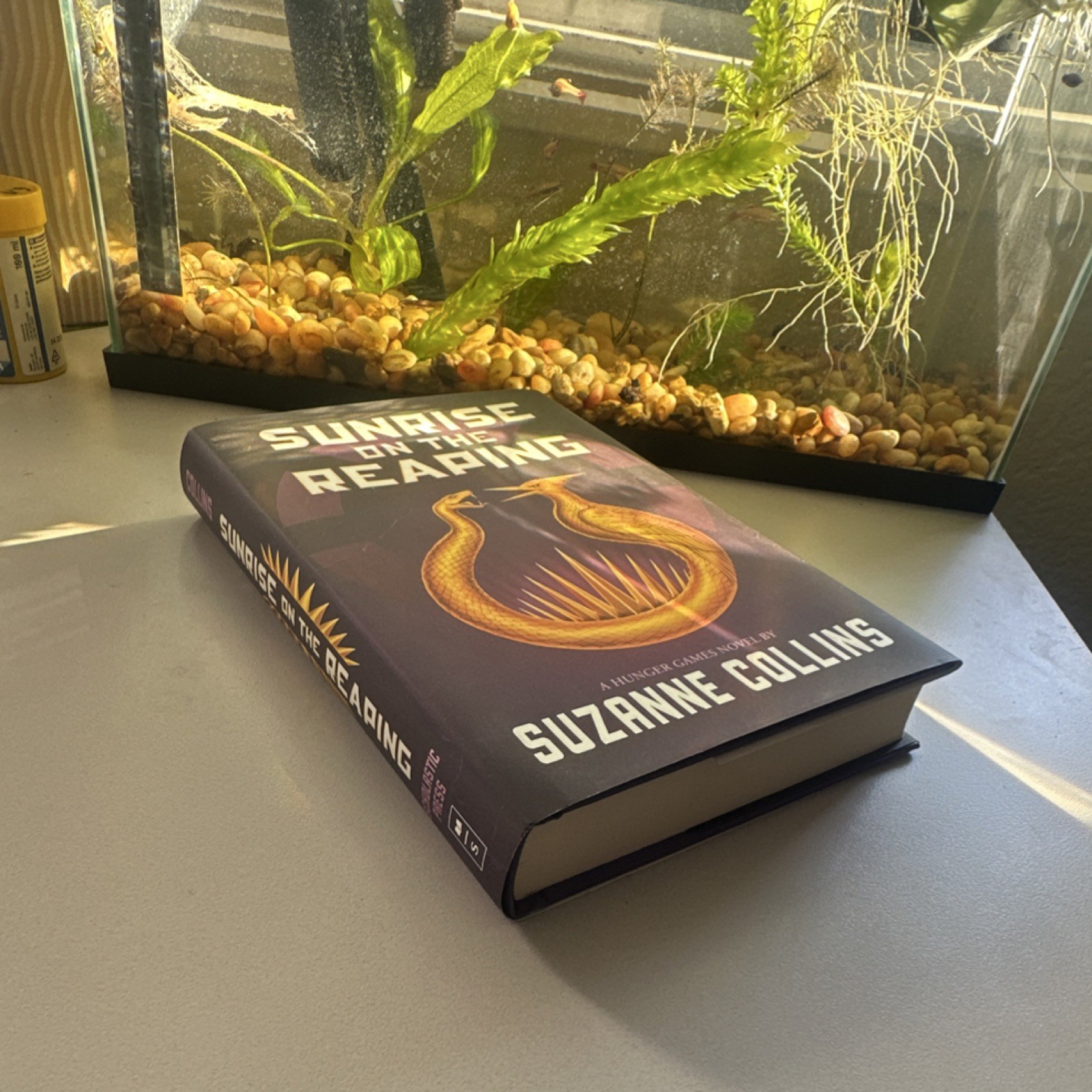 Suzanne Collins Hardcover Sunrise on the Reaping Hunger Games Scholastic
