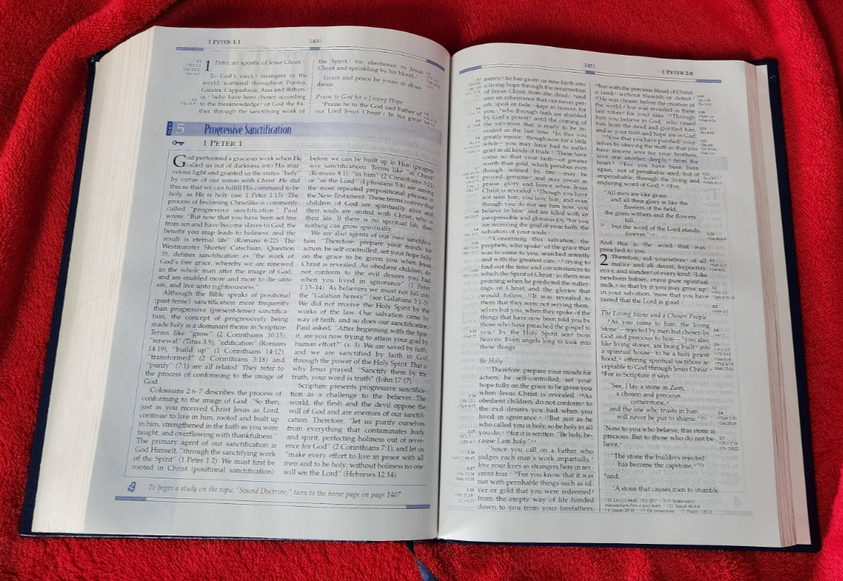 Freedom in Christ Bible New International Version Discovery Zondervan 2001 HB