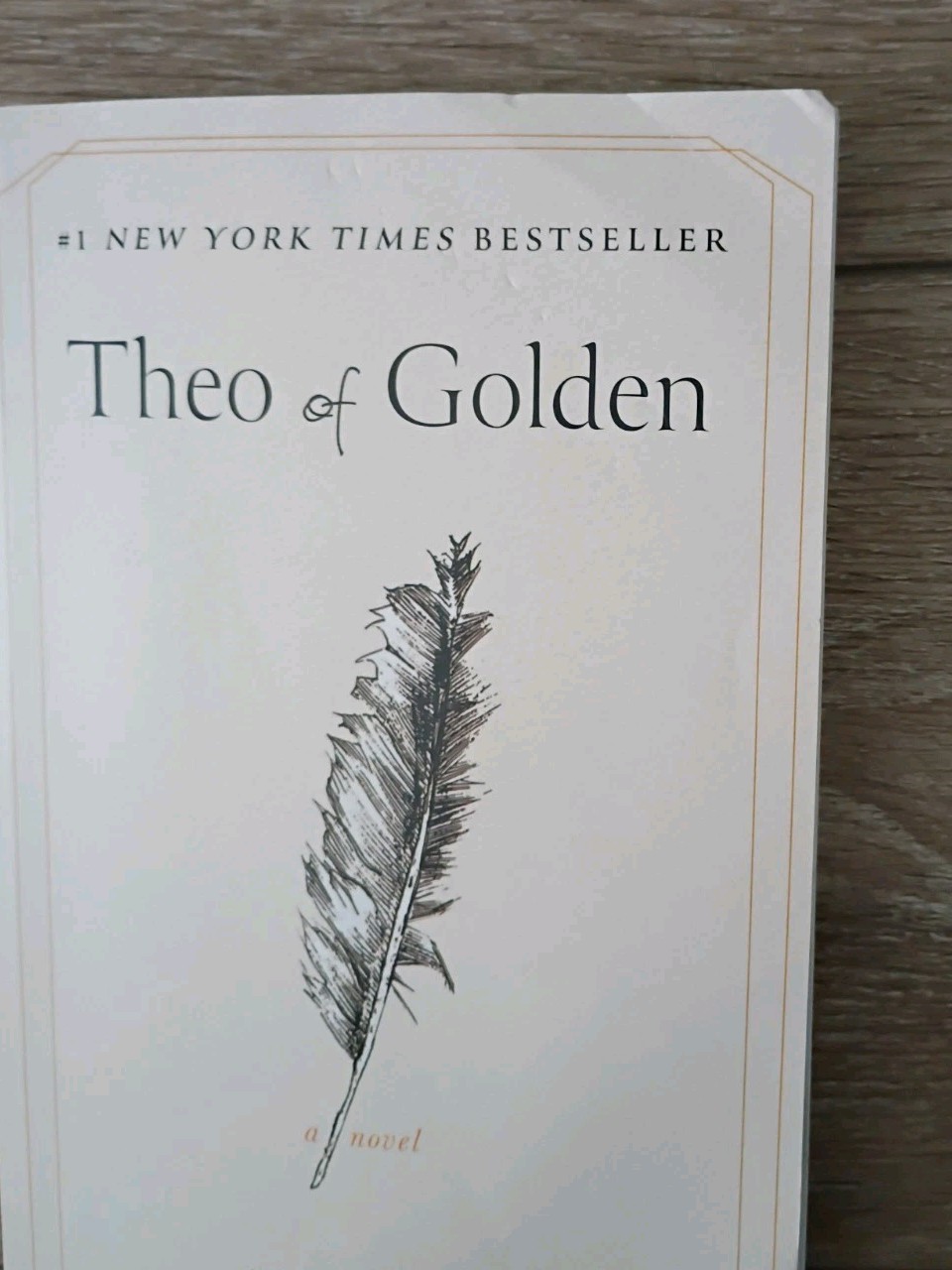 Theo of Golden: A Novel – Paperback Book by Levi Allen EXCELLENT