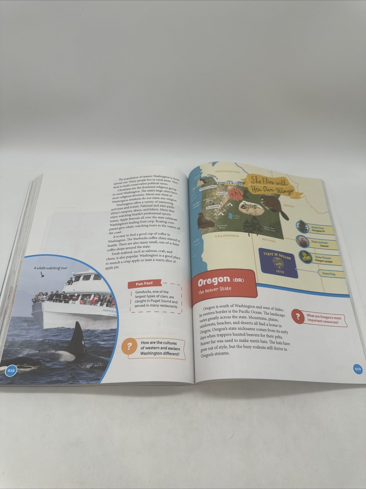 Bob Jones Heritage Studies 4 Text (4th Edition) 4th Grade History