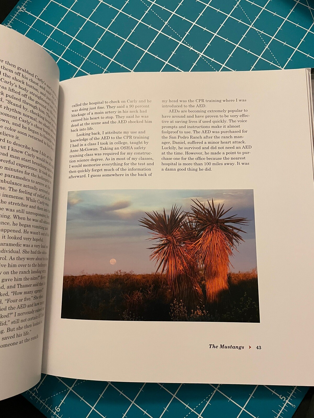 Unbranded by Ben Masters, Ben Thamer, Jonathan C. Fitzsimons, Thomas Glover and