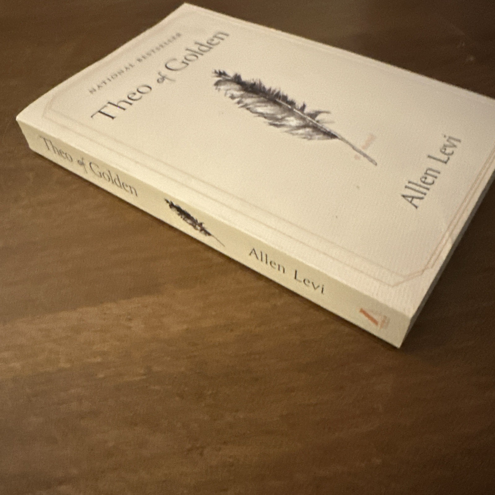 Theo of Golden : A Novel by Allen Levi (2025, Trade Paperback) VERY GOOD