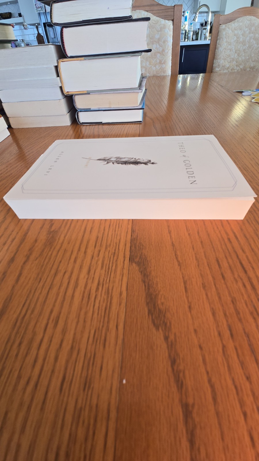 Theo of Golden by Allen Levi Paperback