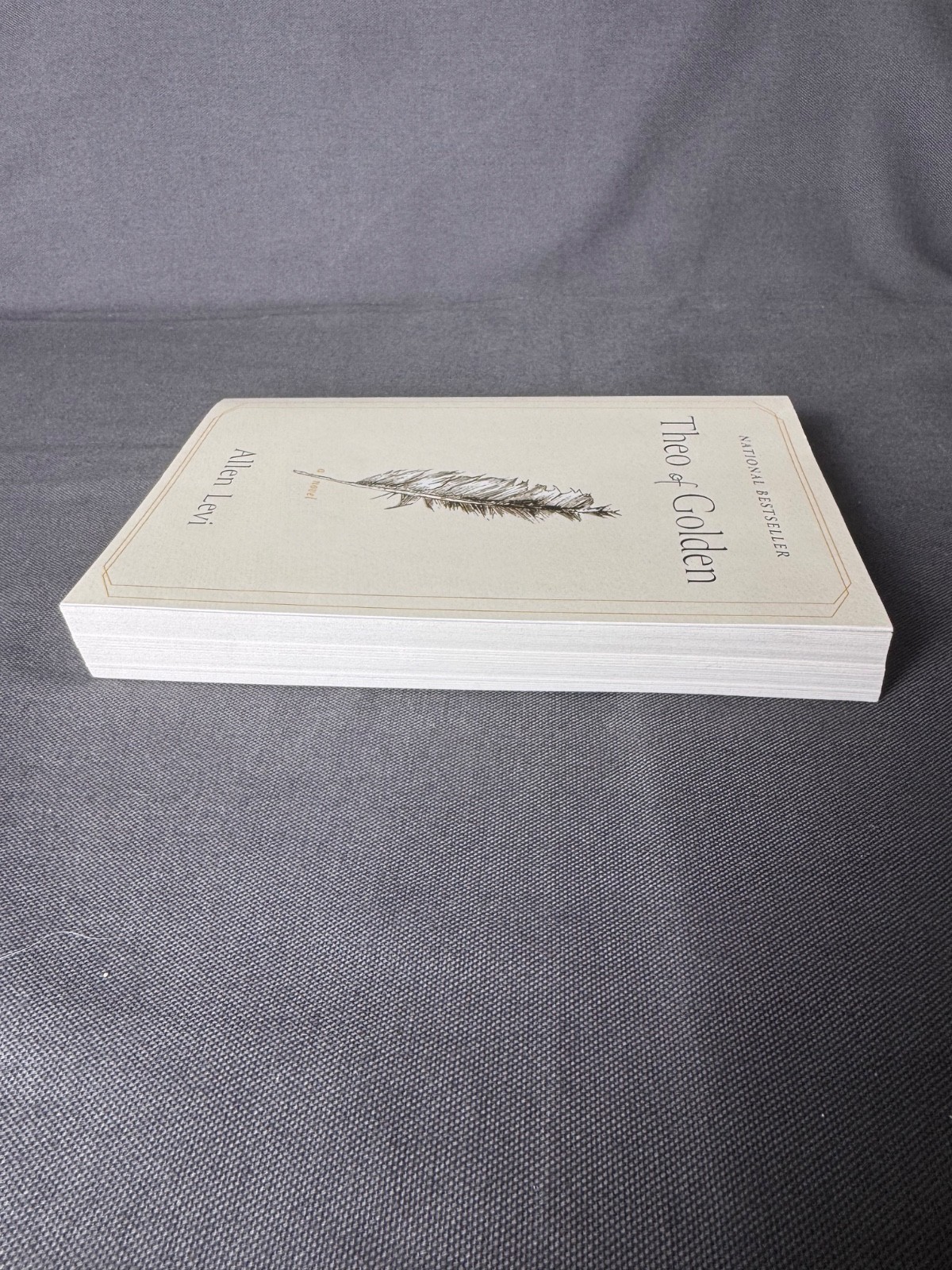 Theo of Golden Allen Levi Paperback Novel National Bestseller Literary Fiction