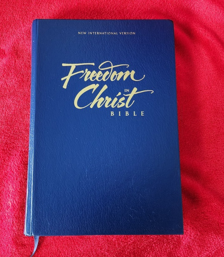 Freedom in Christ Bible New International Version Discovery Zondervan 2001 HB