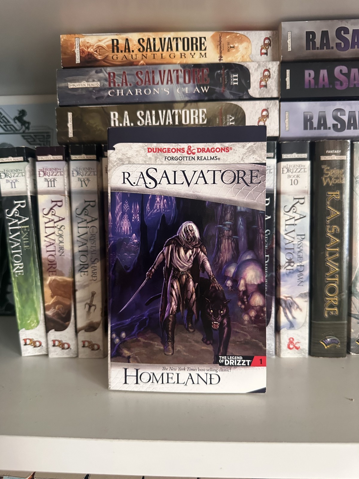 R.A. Salvatore – 30 books, incl The Legend of Drizzt 1-10, Neverwinter 1-3, more