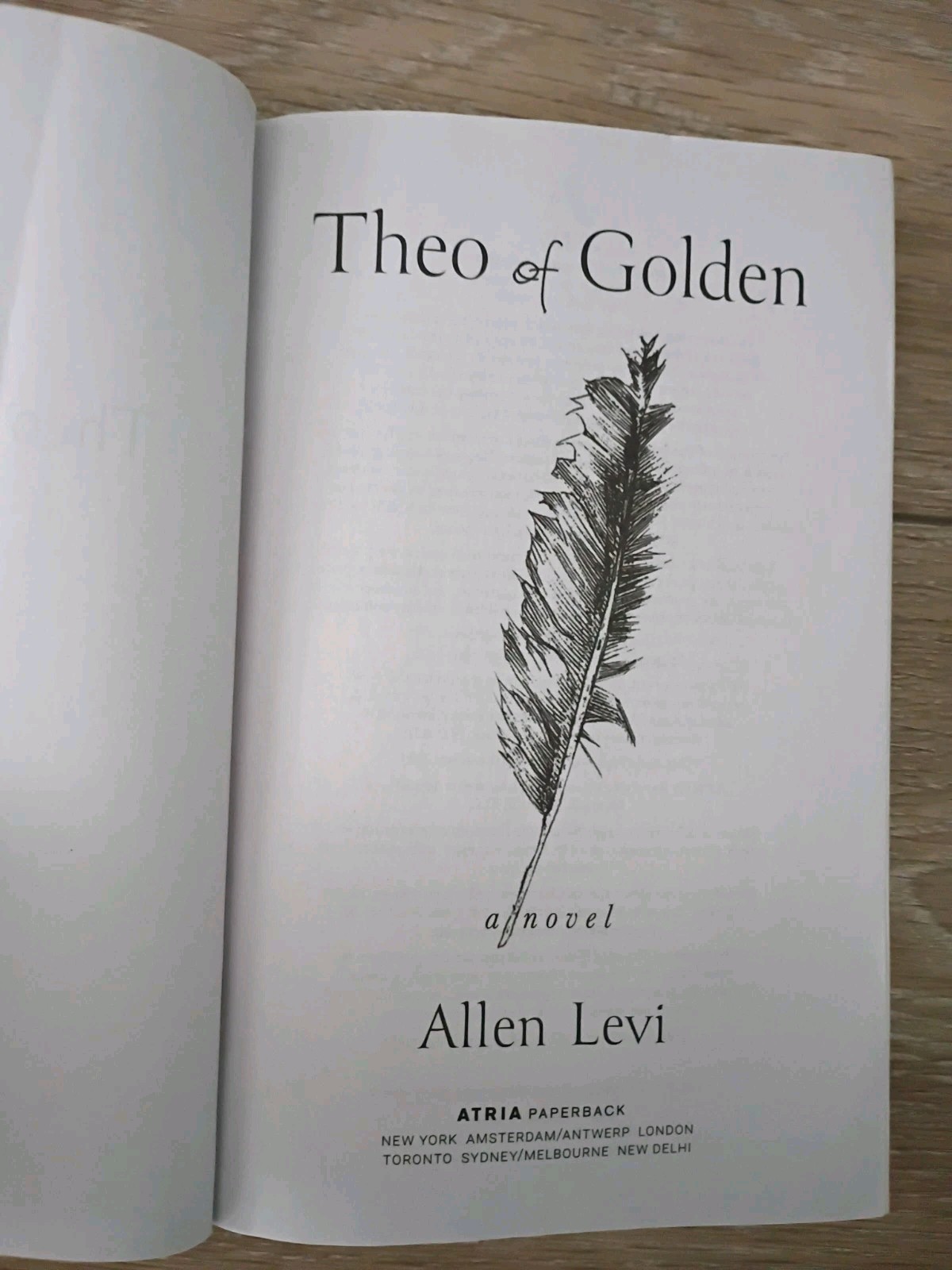 Theo of Golden: A Novel – Paperback Book by Levi Allen EXCELLENT