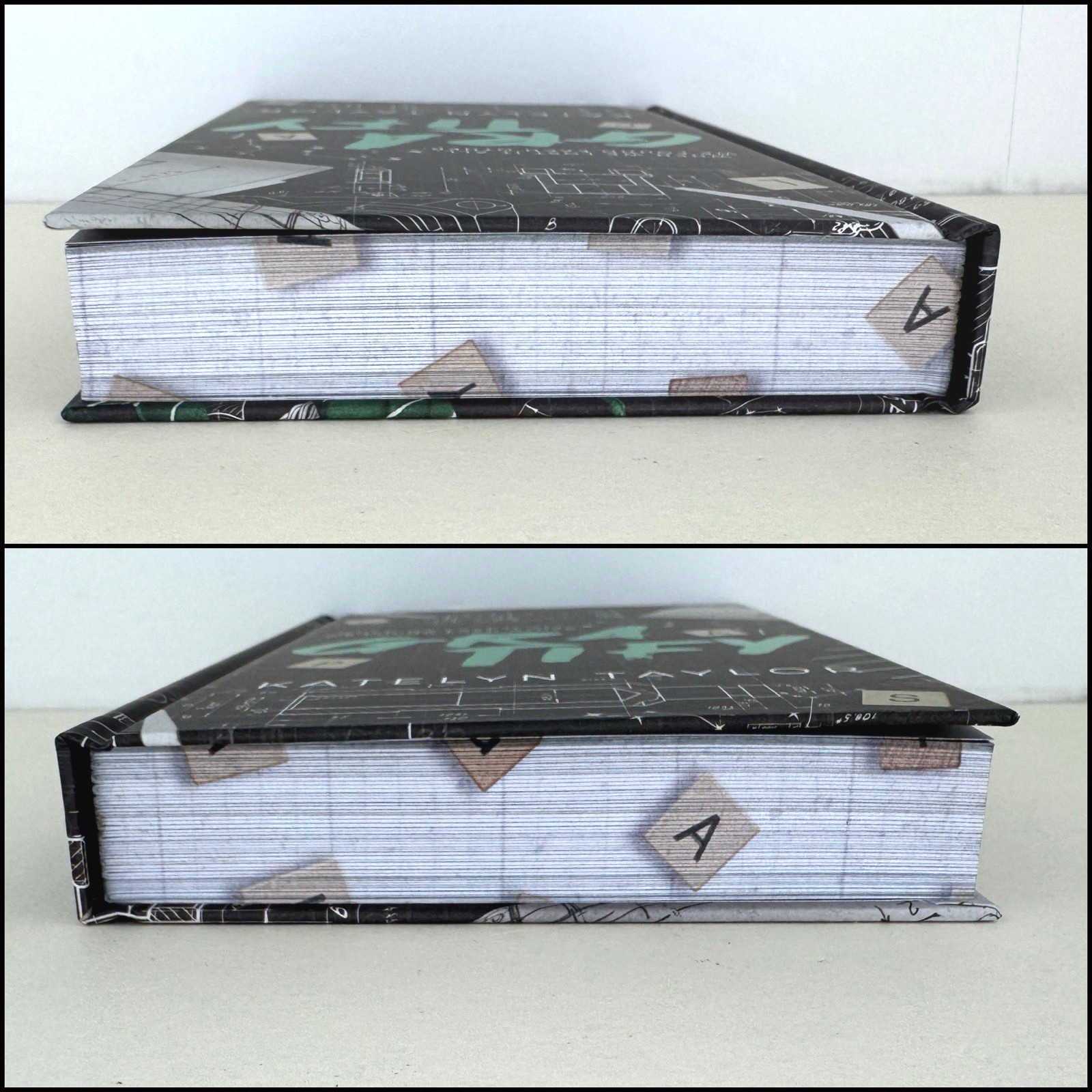 Gratify Katelyn Taylor Dark & Disturbed Special Edition Hardcover Digital Edges