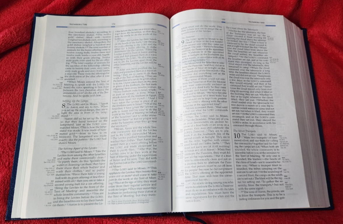Freedom in Christ Bible New International Version Discovery Zondervan 2001 HB