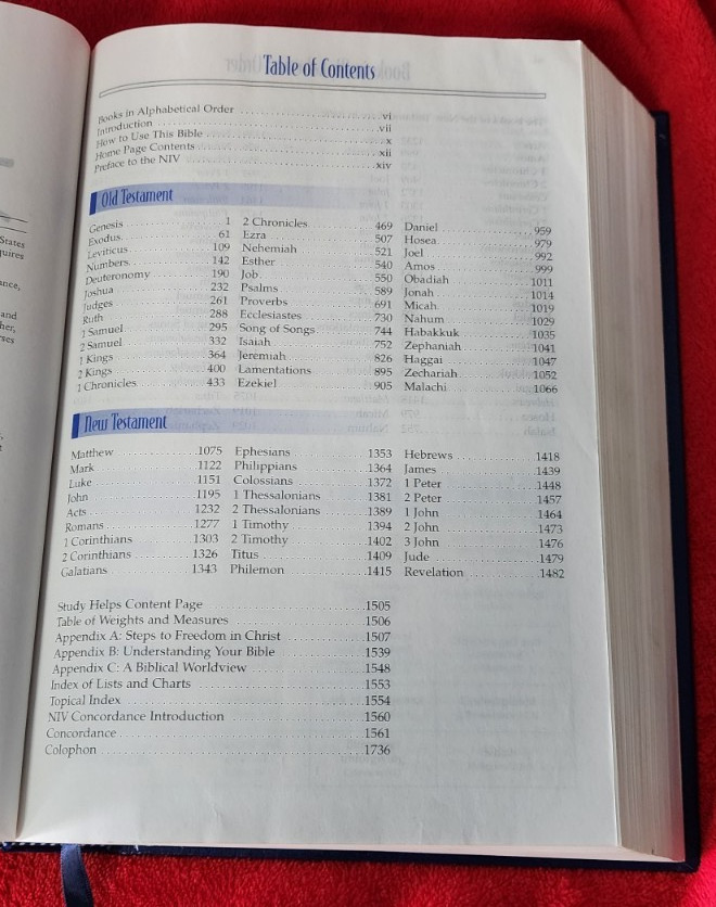Freedom in Christ Bible New International Version Discovery Zondervan 2001 HB