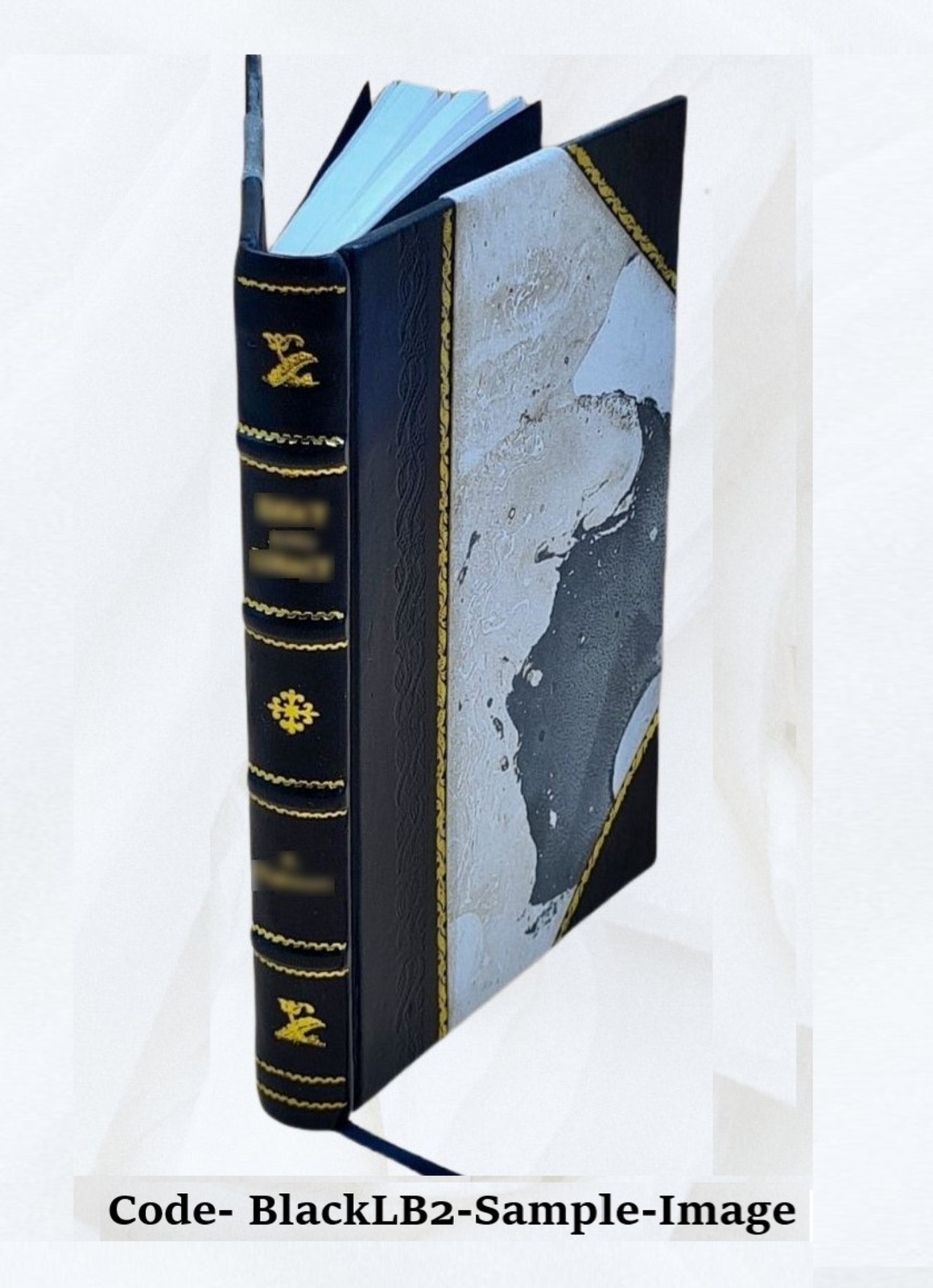 Teaching dull and retarded children, by Annie Dolman Inskeep … [Leather Bound]