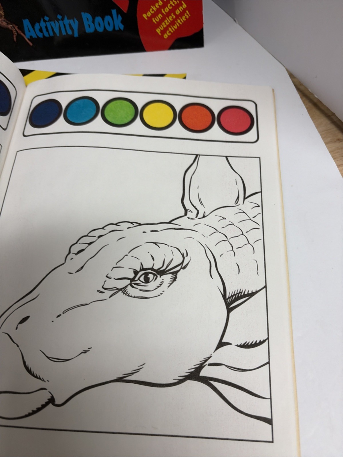 10 DINOSAURS ACTIVITY BOOKS. Paint, Color, Stickers & Puzzles NOS
