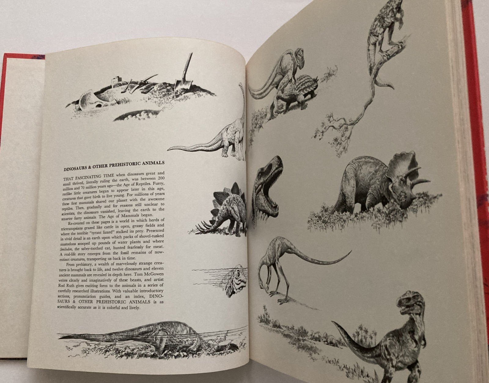 VTG Rand McNally lot 3 Album of Sharks Astronomy Dinosaurs Tom McGowen Rod Ruth