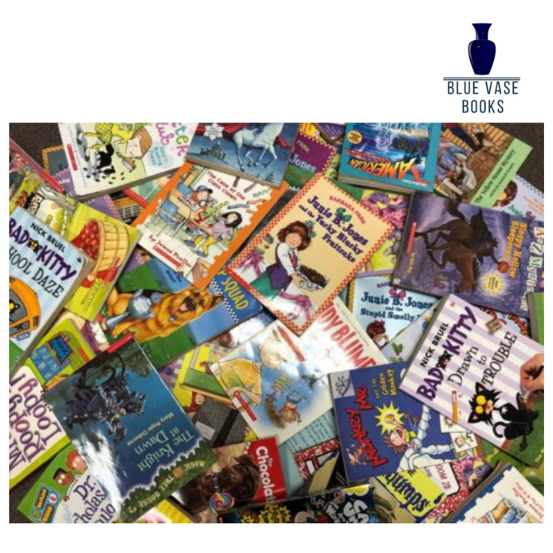 Lot of 30 kids young instant library chapter books bundle paperback – GOOD