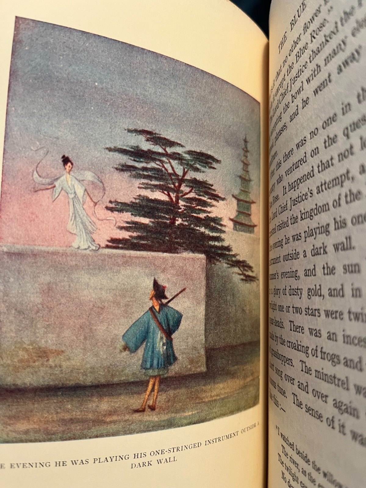 THE BLUE ROSE FAIRY BOOK by Maurice Baring, 1911, First Edition, illustraed RARE